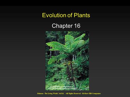 Evolution of Plants Chapter 16