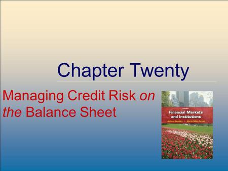 ©2009, The McGraw-Hill Companies, All Rights Reserved 8-1 McGraw-Hill/Irwin Chapter Twenty Managing Credit Risk on the Balance Sheet.
