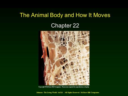 The Animal Body and How It Moves