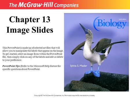 Title Copyright © The McGraw-Hill Companies, Inc. Permission required for reproduction or display. Chapter 13 Image Slides This PowerPoint is made up of.