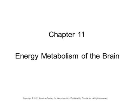 Energy Metabolism of the Brain