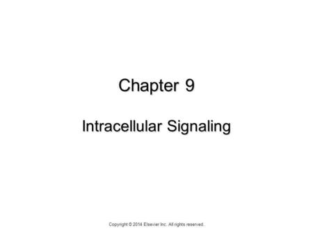 Chapter 9 Intracellular Signaling