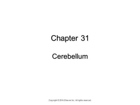 Chapter 31 Cerebellum Copyright © 2014 Elsevier Inc. All rights reserved.