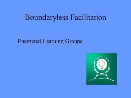 1 Boundaryless Facilitation Energized Learning Groups.