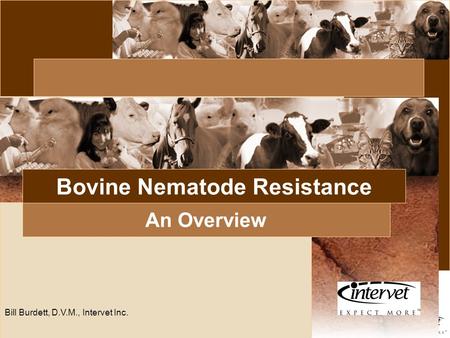 Bovine Nematode Resistance