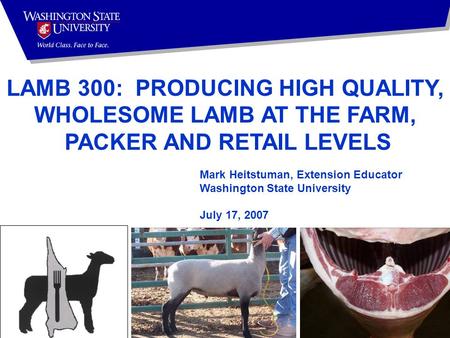 Mark Heitstuman, Extension Educator Washington State University July 17, 2007 LAMB 300: PRODUCING HIGH QUALITY, WHOLESOME LAMB AT THE FARM, PACKER AND.