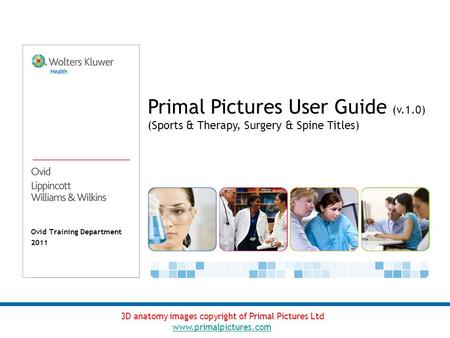 Ovid Training Department 2011 Primal Pictures User Guide (v.1.0) (Sports & Therapy, Surgery & Spine Titles) 3D anatomy images copyright of Primal Pictures.