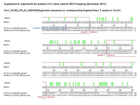 Vrn1_T4 (AS_ITA_21_HQ910536) genomic sequence vs. corresponding fragment from T. aestivum Vrn-A1: F primer Exon 3Intron 3 Exon 4 Intron 4 Supplement 4: