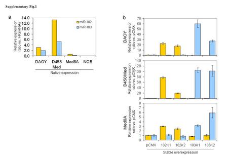 Supplementary Fig.1 Native expression Relative expression ratio vs. HKsRNAs a Relative expression ratio vs. pCMX DAOY Med8A Relative expression ratio vs.
