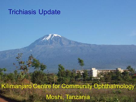 Kilimanjaro Centre for Community Ophthalmology Moshi, Tanzania Trichiasis Update.