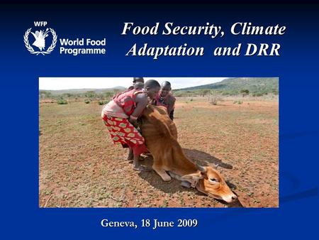 Food Security, Climate Adaptation and DRR Geneva, 18 June 2009.
