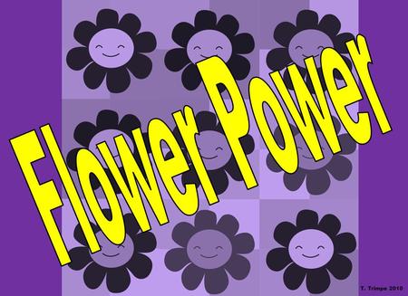 Flower Power T. Trimpe 2010.