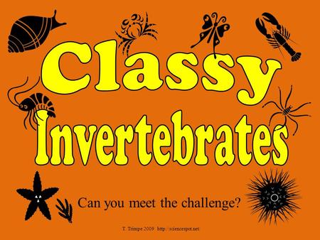 Classy Invertebrates Can you meet the challenge?