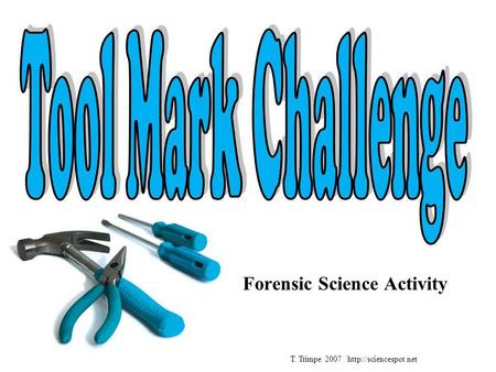 Forensic Science Activity