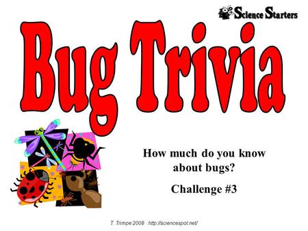 How much do you know about bugs? Challenge #3 T. Trimpe 2008