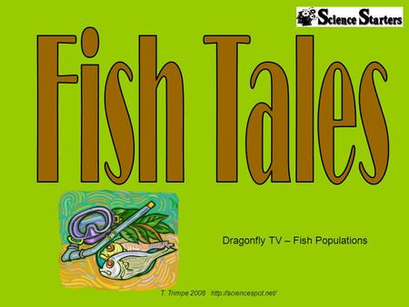T. Trimpe 2008  Dragonfly TV – Fish Populations.