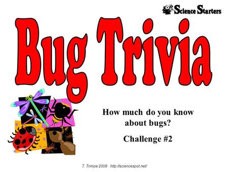 How much do you know about bugs? Challenge #2 T. Trimpe 2008