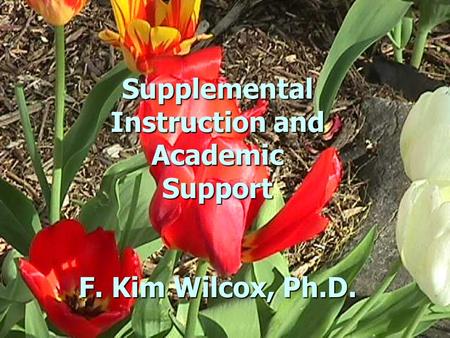 Supplemental Instruction and Academic Support F. Kim Wilcox, Ph.D.
