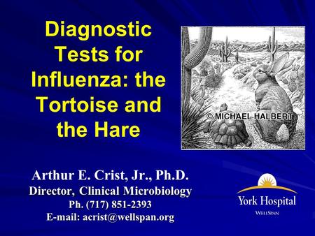 Diagnostic Tests for Influenza: the Tortoise and the Hare