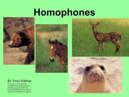 Homophones By Vicky Walkup Vicky Walkup 3rd grade L.A. Goal 5.05