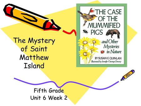 The Mystery of Saint Matthew Island