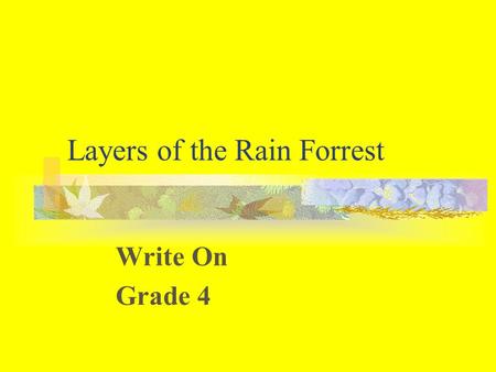 Layers of the Rain Forrest Write On Grade 4. Learner Expectation Content Standard: 2.0 Interactions Between Living Things and Their Environment. The student.