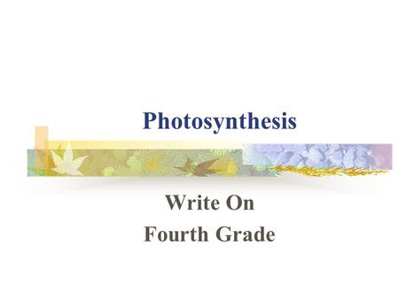 Photosynthesis Write On Fourth Grade.