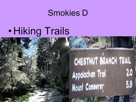 Smokies D Hiking Trails. 850 miles-some old roads, some Indian trails, etc, some built by CCC. Some trails are foot travel only & some both horse/foot.