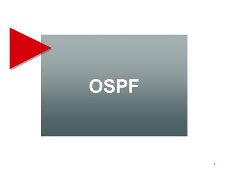 OSPF 1.