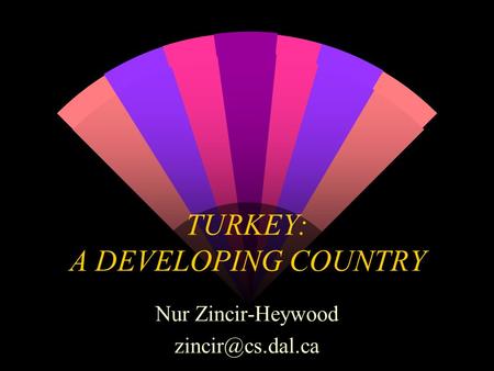 TURKEY: A DEVELOPING COUNTRY Nur Zincir-Heywood