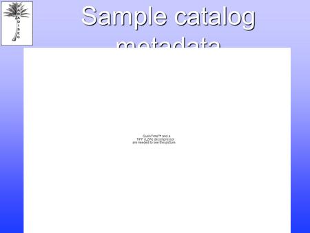 Sample catalog metadata. Metadata January 2005 1800 items (recordings or theses) digitised or assessed for digitisation (1629 findable online via metadata.