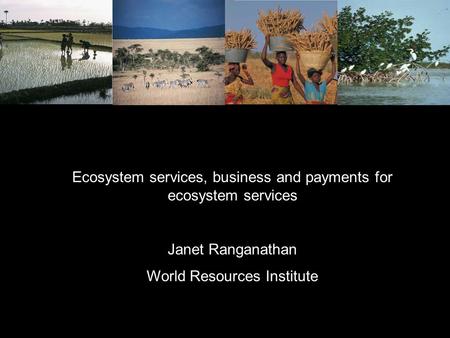 Ecosystem services, business and payments for ecosystem services Janet Ranganathan World Resources Institute.