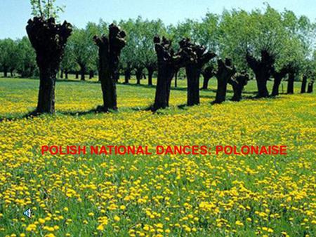 POLISH NATIONAL DANCES: POLONAISE. Polish symbol - the name of the Polish dance later polonaise a form of the name of the Polish polonaise was used in.