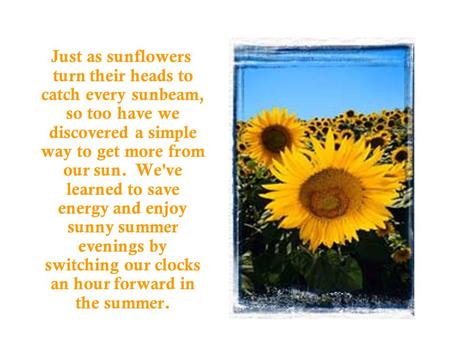 Just as sunflowers turn their heads to catch every sunbeam, so too have we discovered a simple way to get more from our sun. We've learned to save energy.