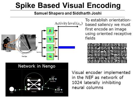 Spike Based Visual Encoding Activity level (a m ) Visual encoder implemented in the NEF as network of 1024 laterally inhibiting neural columns Network.