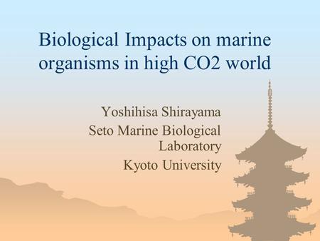 Biological Impacts on marine organisms in high CO2 world Yoshihisa Shirayama Seto Marine Biological Laboratory Kyoto University.