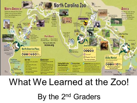 What We Learned at the Zoo!