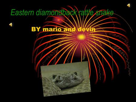 Eastern diamondback rattle snake BY mario and devin.