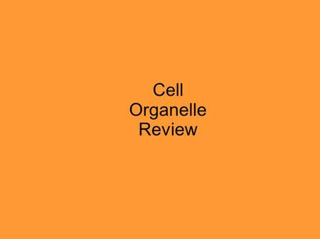 Cell Organelle Review.