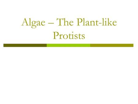 Algae – The Plant-like Protists