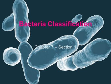 Bacteria Classification