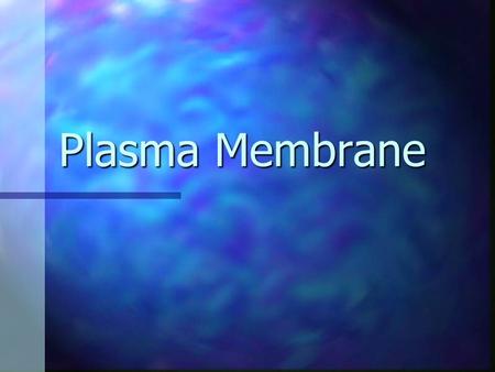 Plasma Membrane.
