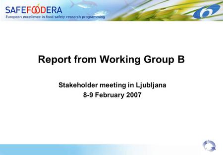 Report from Working Group B Stakeholder meeting in Ljubljana 8-9 February 2007.