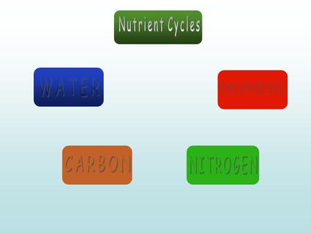 Nutrient Cycles WATER PHOSPHOROUS CARBON NITROGEN.