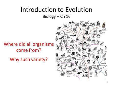 Introduction to Evolution Biology – Ch 16