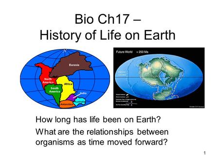 Bio Ch17 – History of Life on Earth How long has life been on Earth? What are the relationships between organisms as time moved forward? 1.
