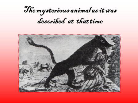 The mysterious animal as it was described at that time.