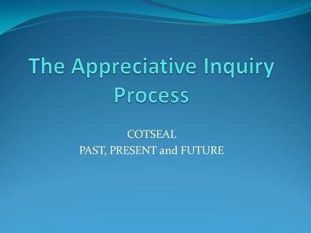 COTSEAL PAST, PRESENT and FUTURE. The Basic Two Lenses Seeing the deficits Seeing the good.