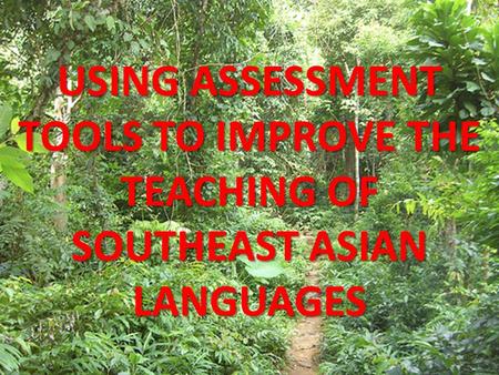 USING ASSESSMENT TOOLS TO IMPROVE THE TEACHING OF SOUTHEAST ASIAN LANGUAGES.