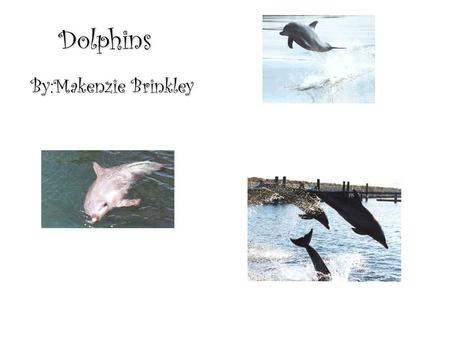 Dolphins By:Makenzie Brinkley. 1 Have you ever heard of a mammal called a dolphin? Well, if you havent, Im here to tell you a little about them. Dolphins.